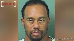 Golf star Tiger Woods was arrested and charged with DUI. Elizabeth Keatinge (@elizkeatinge) has more.